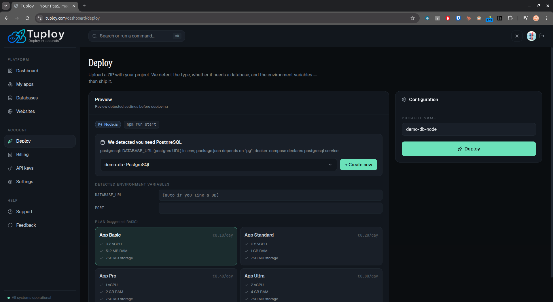Preview step with detected framework and env var inputs